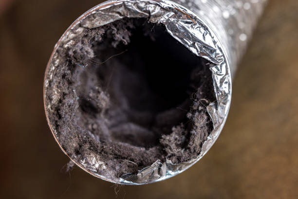 Best Affordable HVAC Duct Cleaning  in Columbia City, IN